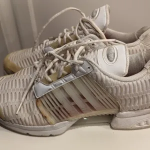 Adidas Wish Sneakerboy Jellyfish Training shoes Men Size 12