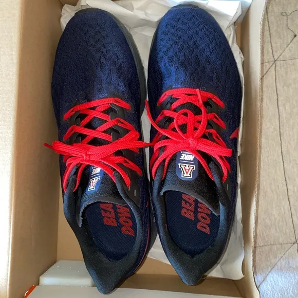 Arizona Wildcats Nike Air Zoom Pegasus 36