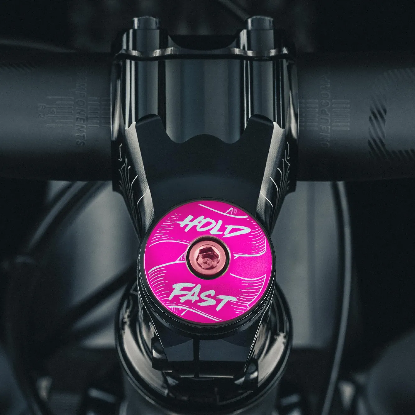 Hold Fast - Bicycle Headset Cap