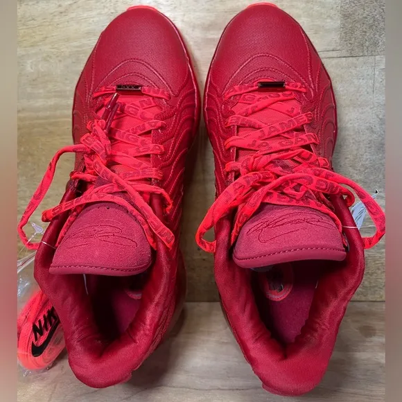 NEW Nike Zoom LeBron XXI 21 James Gang Mens Sz 9 Shoes Sneakers Crimson Gym Red