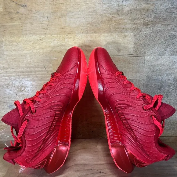NEW Nike Zoom LeBron XXI 21 James Gang Mens Sz 9 Shoes Sneakers Crimson Gym Red