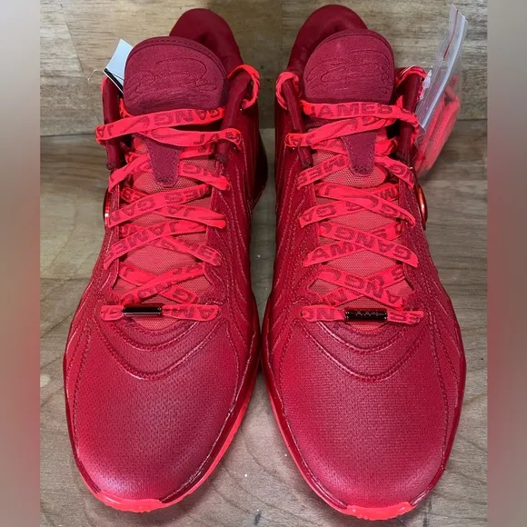 NEW Nike Zoom LeBron XXI 21 James Gang Mens Sz 9 Shoes Sneakers Crimson Gym Red