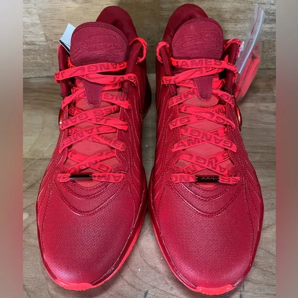 NEW Nike Zoom LeBron XXI 21 James Gang Womens Sz 10.5 Shoes Crimson Gym Red