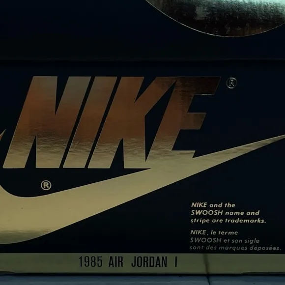 Nike Air Jordan 1 Retro OG Hi Palomino