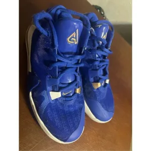 Nike Zoom Freak 1 high tops size 4.5Y