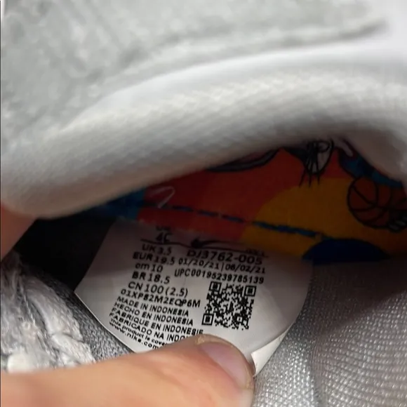 NWOT Nike Lebron Tune Squad Space Jam Kids Shoe SZ 4C